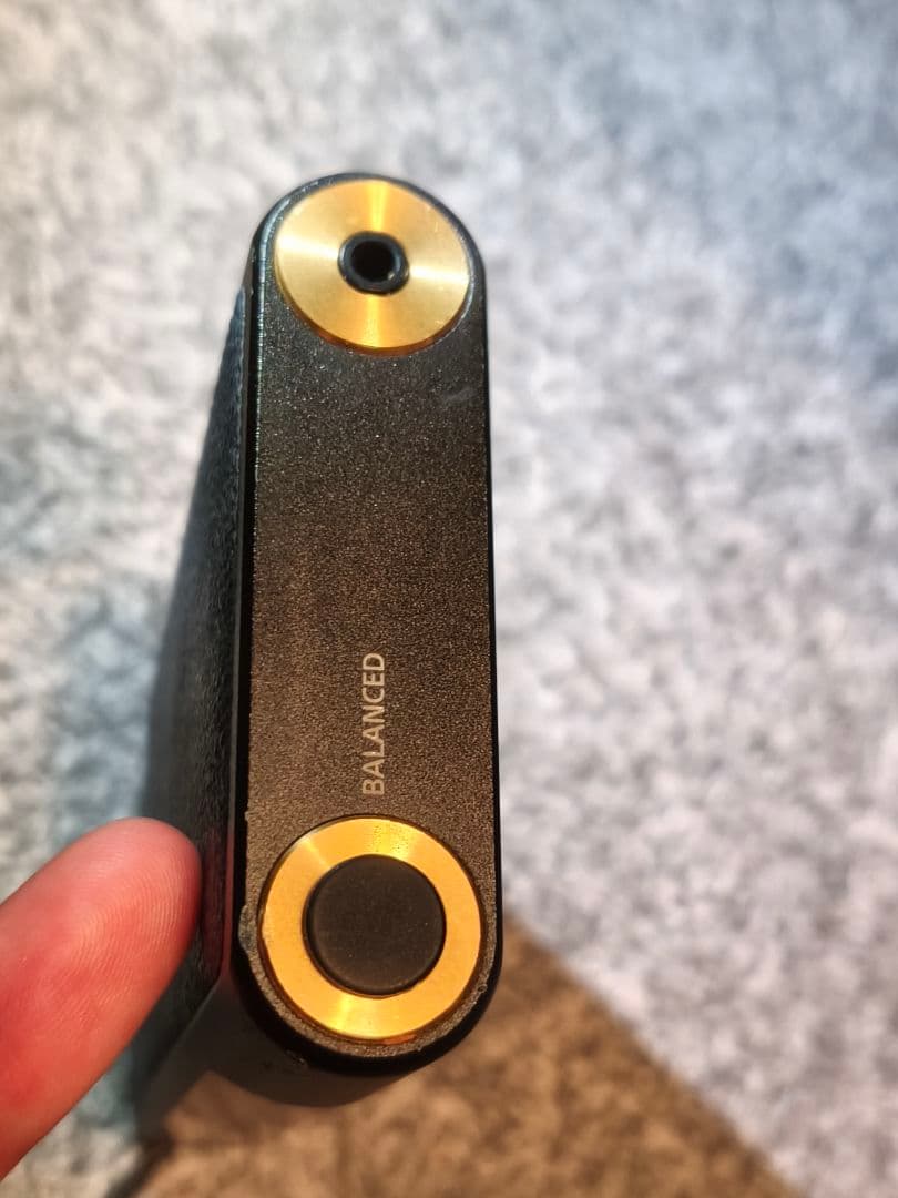 SONY WALKMAN NW-WM1A　純正ケースCKL-NWWM1 付