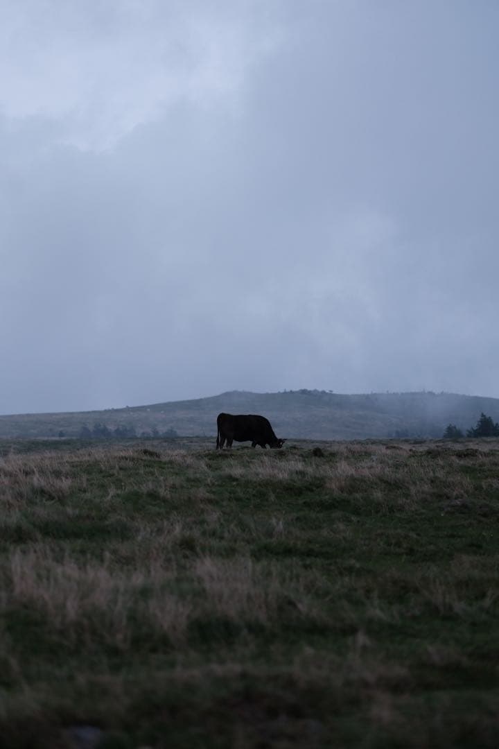 レンズ(単焦点) FUJIFILM GF80mm F1.7 R WR