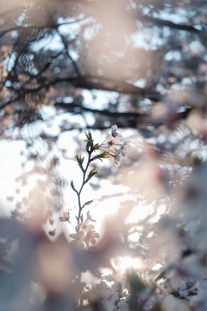 デジタルカメラ FUJIFILM X-E2 SUPER ROKKOR 45mm F2.8