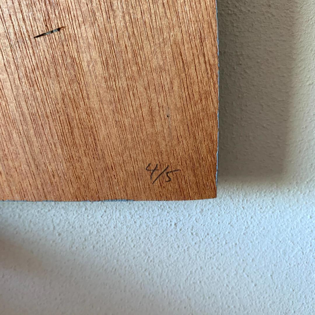 ミナペルホネン minä perhonen elava アートピース3点セット