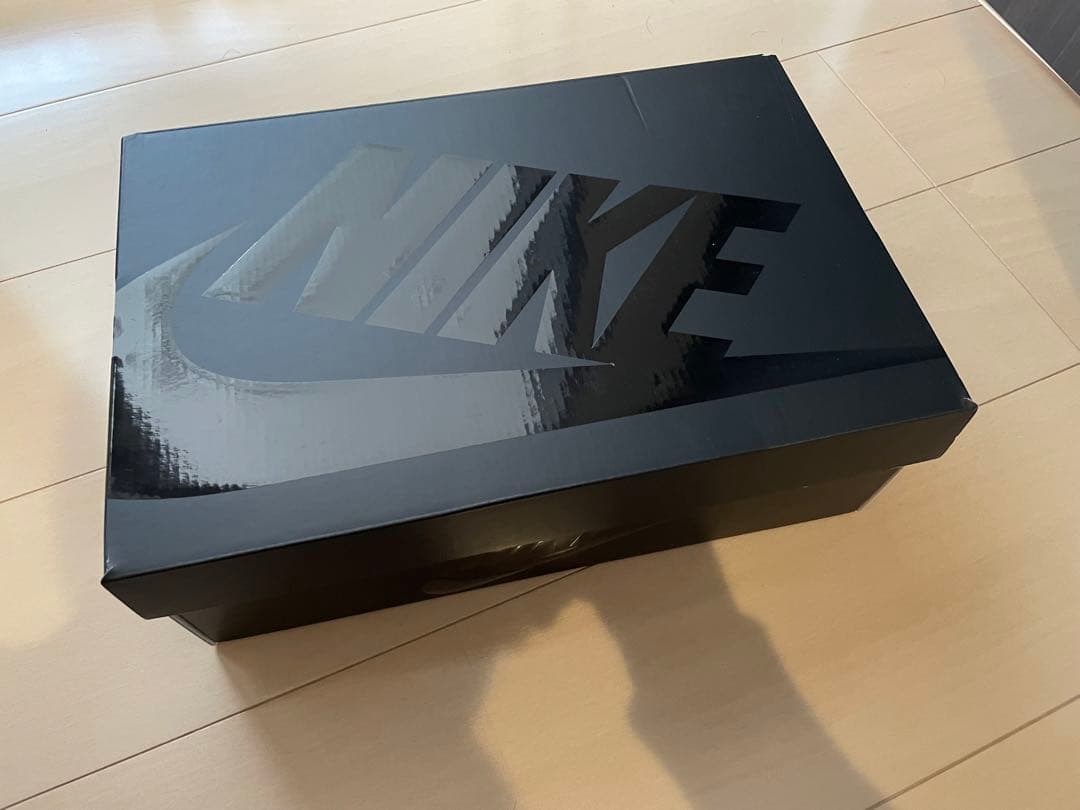 靴 Nike Air Max Phenomena SWDC