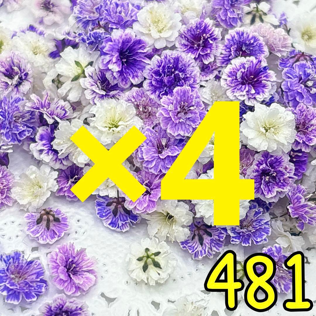 専用ページ✩.*˚