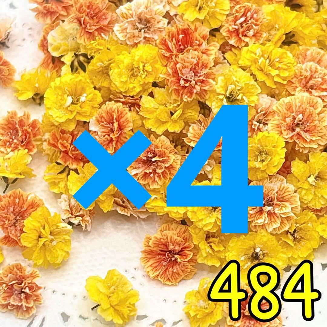 専用ページ✩.*˚