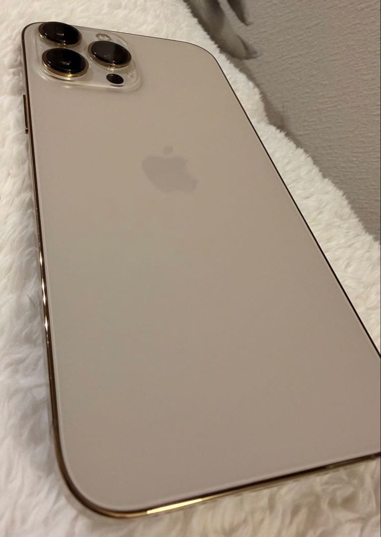 1年使用★バッテリー93%⭐️iPhone 13Pro max⭐️純正急速充電器付き