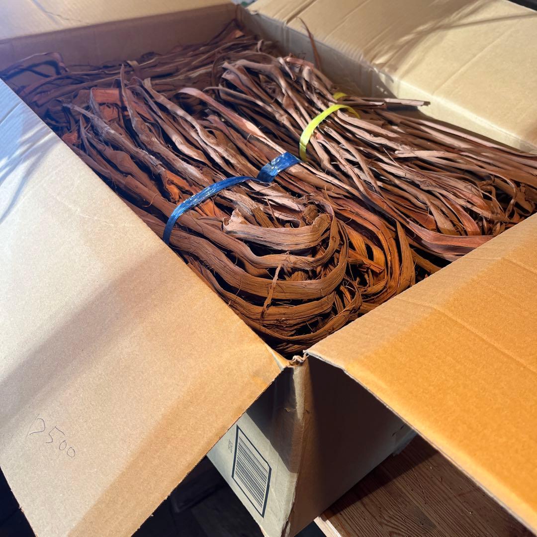 ラッキー　山葡萄の蔓