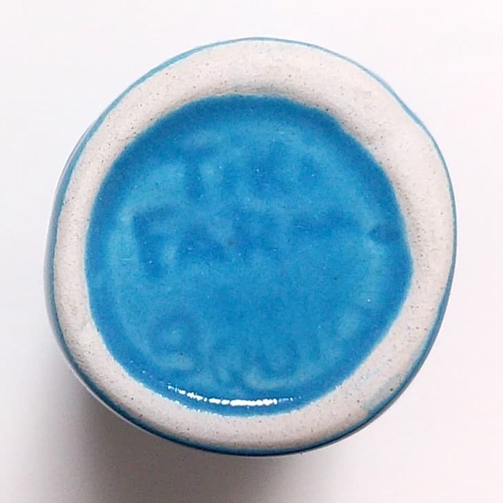 ★稀少TIKIマグ★SQUIDティキファーム ショットグラス　shagサーフィン