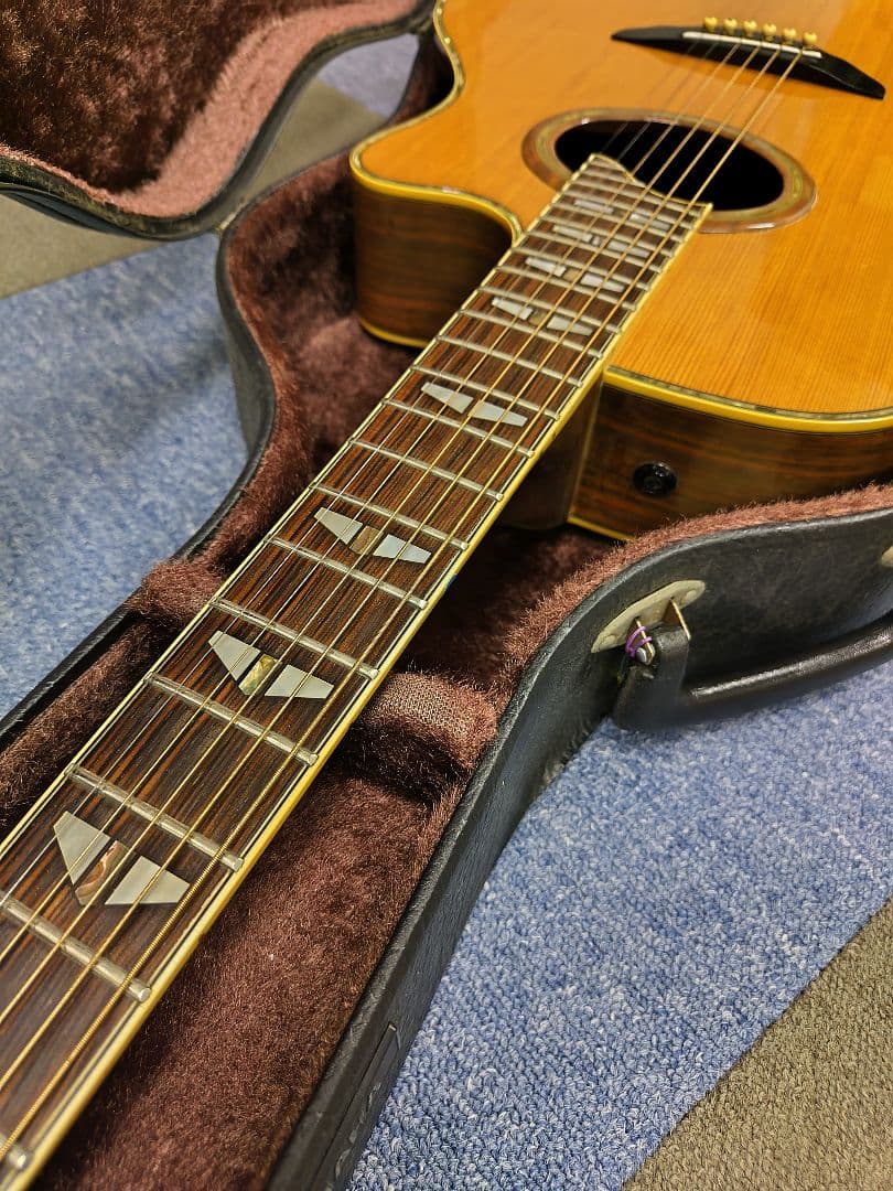 YAMAHA APX20TS アコースティック(エレアコ)ギター,ハードケース付