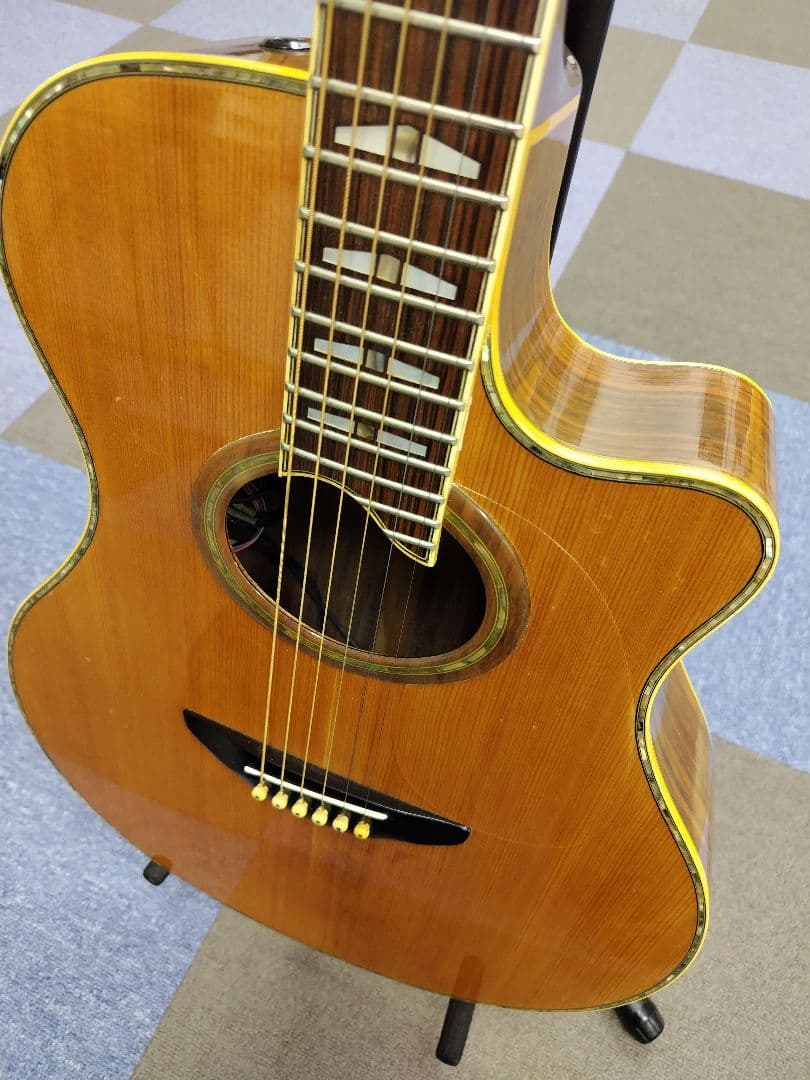 YAMAHA APX20TS アコースティック(エレアコ)ギター,ハードケース付