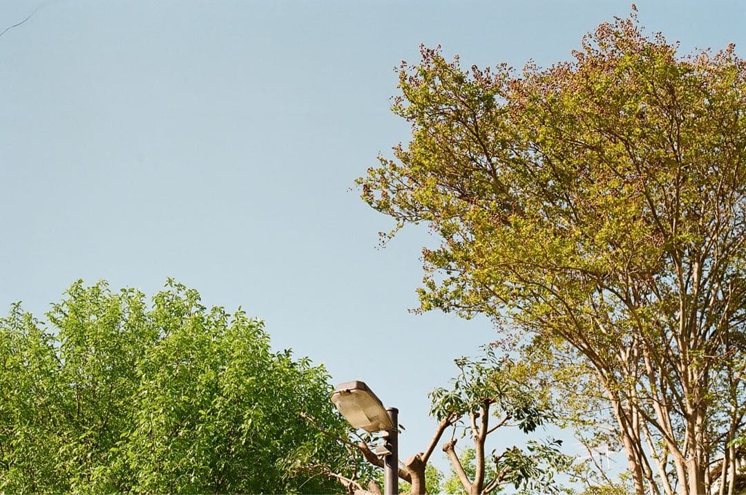 【作動保証1ヶ月】整備済、完動品/ コニカ Konica C35 初期型