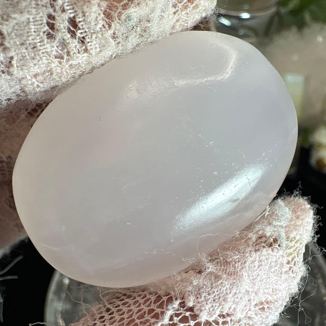 ピンクカルサイトパー厶No.2026