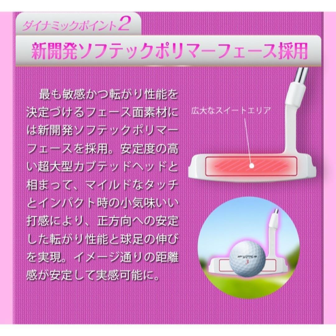 女子に嬉しい100切りセット★ ダイナミクス レディス チッパー & パター