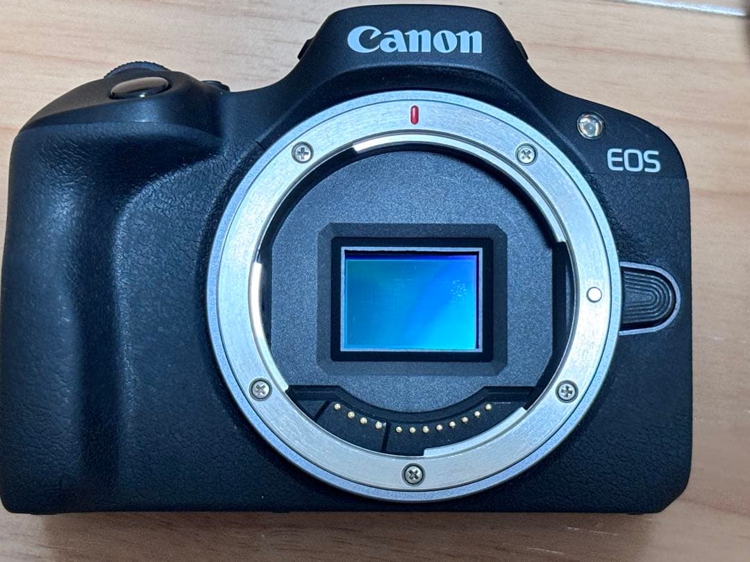 Canon ミラーレス一眼カメラ EOS R100 標準ズームレンズキット