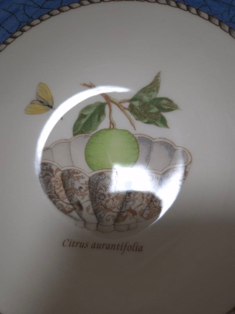  SARAH'S GARDEN 食器セット