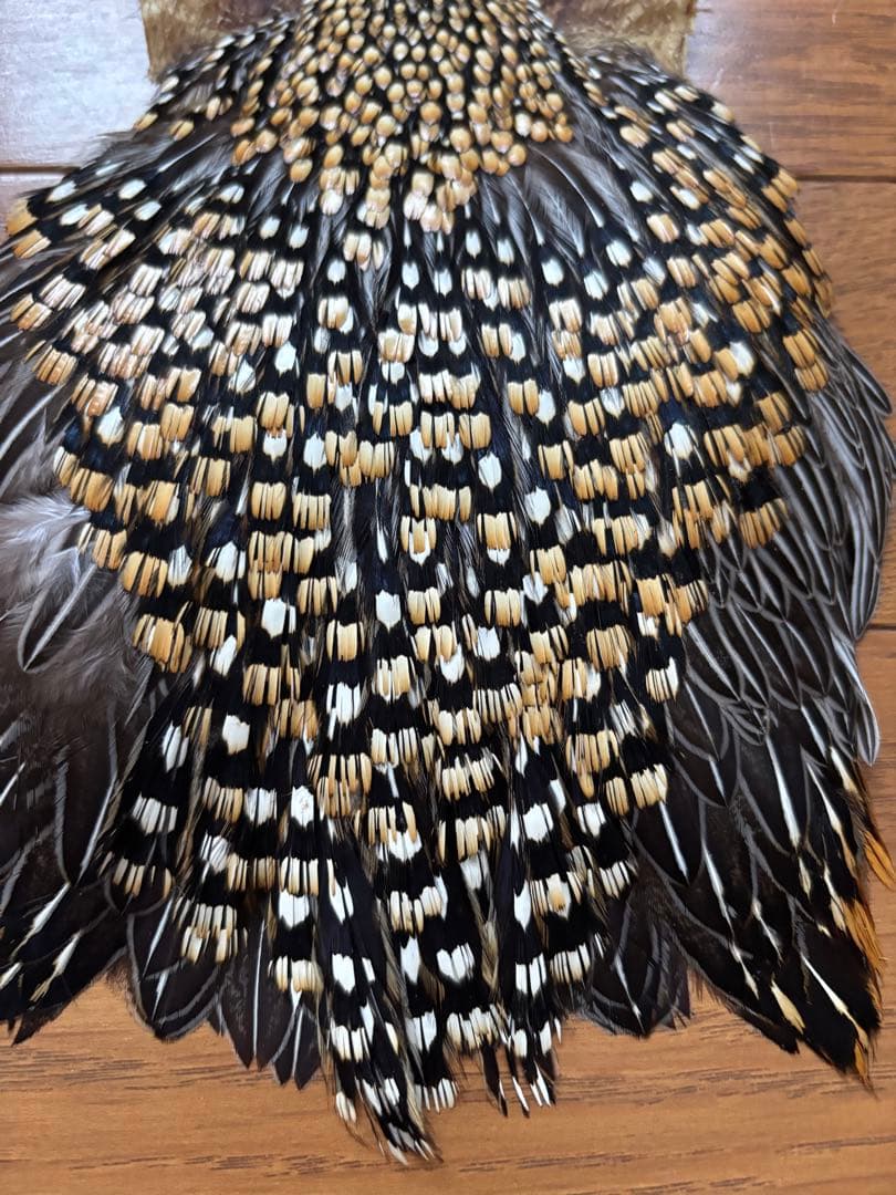 c*s様 ジャングルコック　フライマテリアル