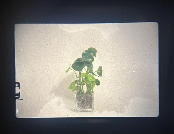 オリンパス Olympus OM-1 Auto-Zoom 35-70mm F4