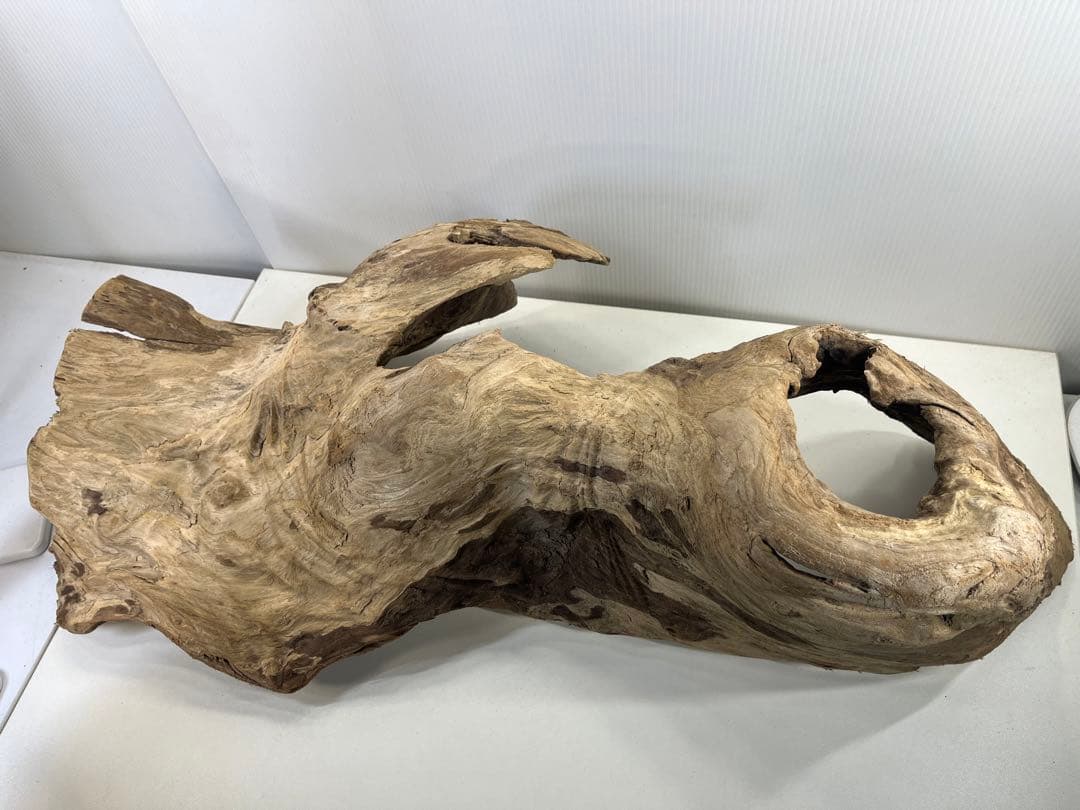 m61特大流木 アク抜き済み 爬虫類シェルター レイアウト用 登り木 インテリア