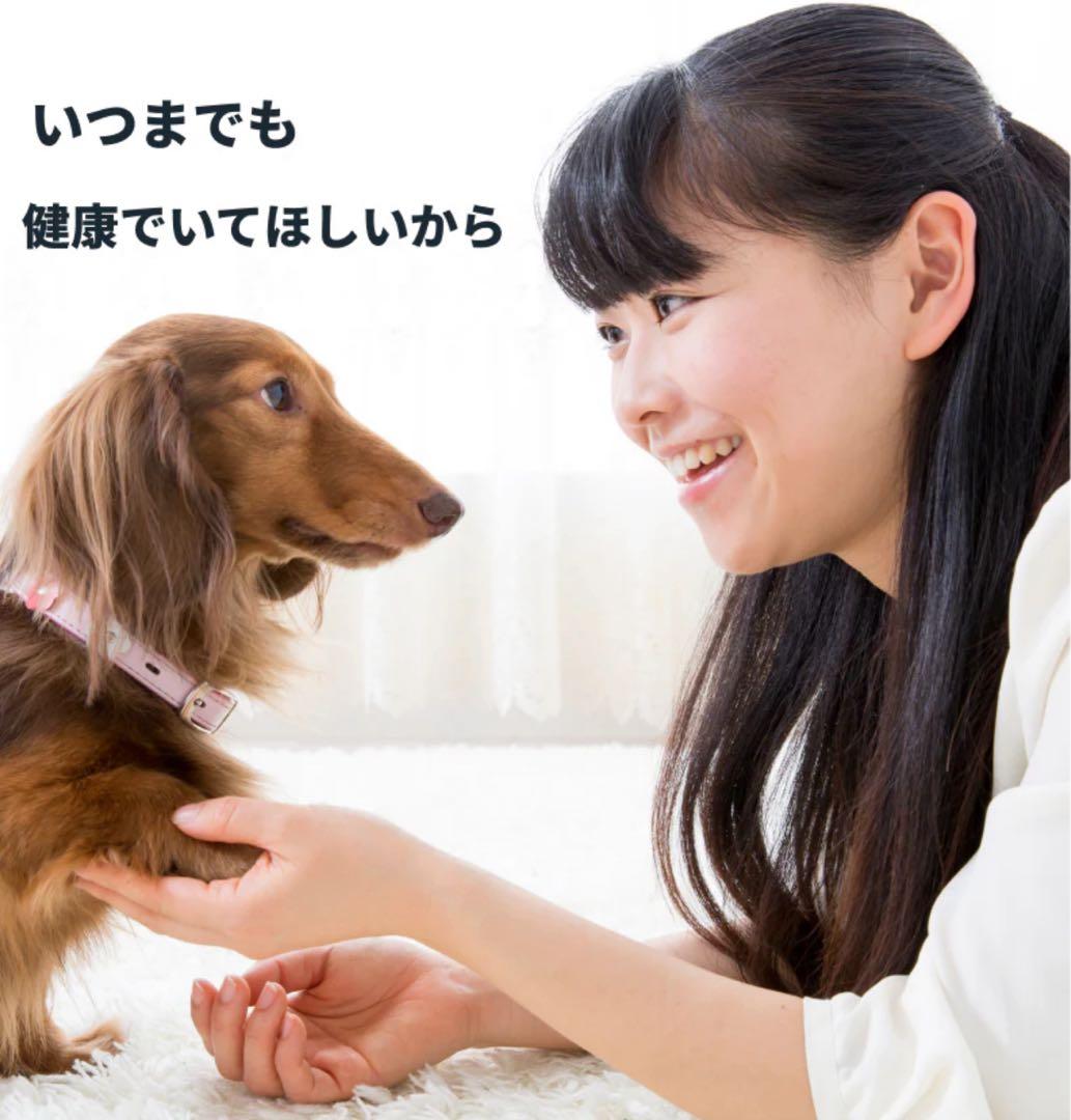 VetZ PetZ アンチノール 90粒 3箱