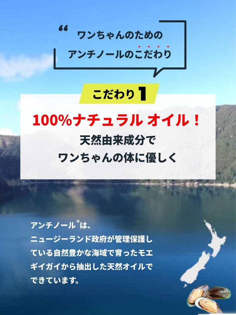 VetZ PetZ アンチノール 90粒 3箱