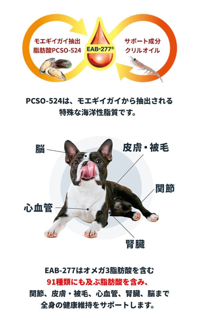 VetZ PetZ アンチノール 90粒 3箱