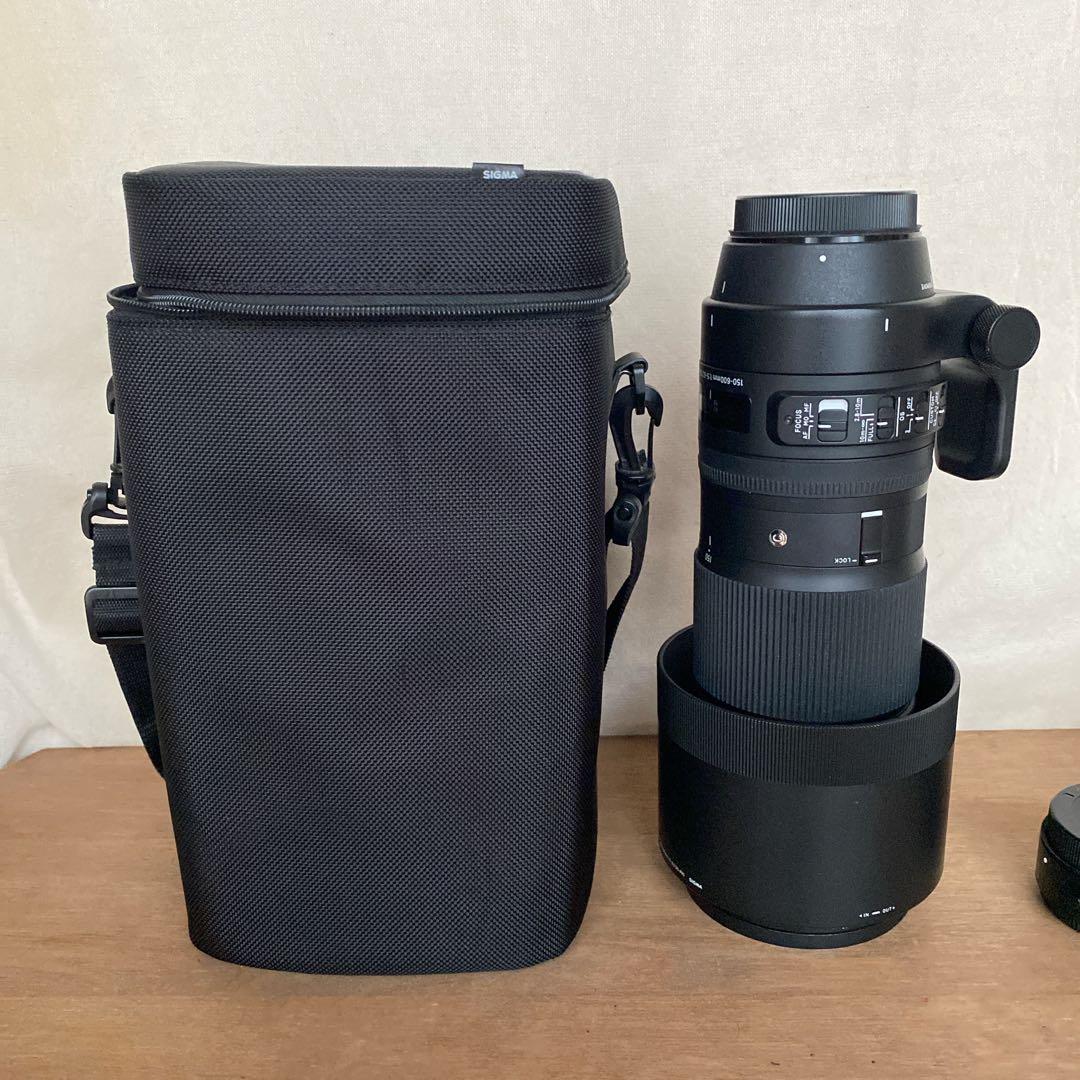SIGMA 150-600 f5-6.3 DG.OS HSM キヤノン テレコン
