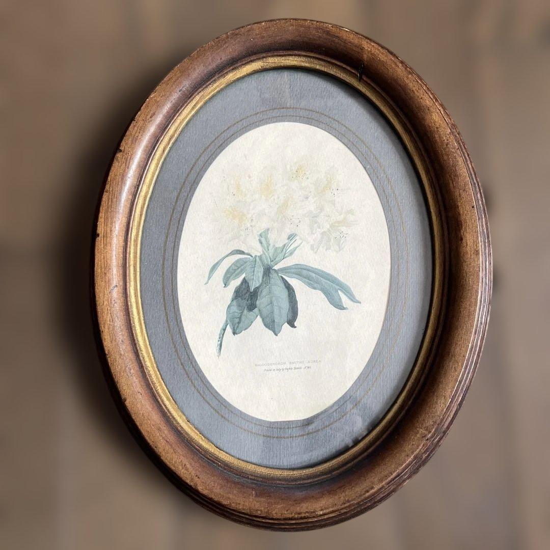 アンティーク　イタリー製　花の絵　古木　フレーム　壁掛け