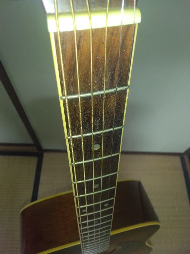 タカミネギター