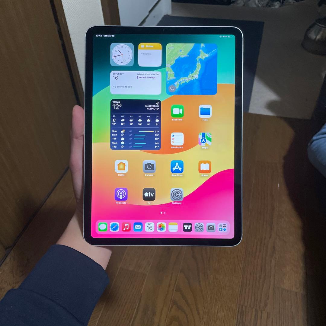 iPad本体 Ipad pro (11-inch)