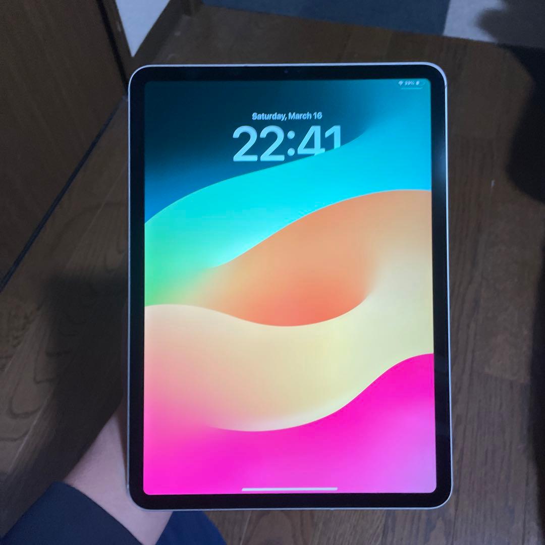 iPad本体 Ipad pro (11-inch)