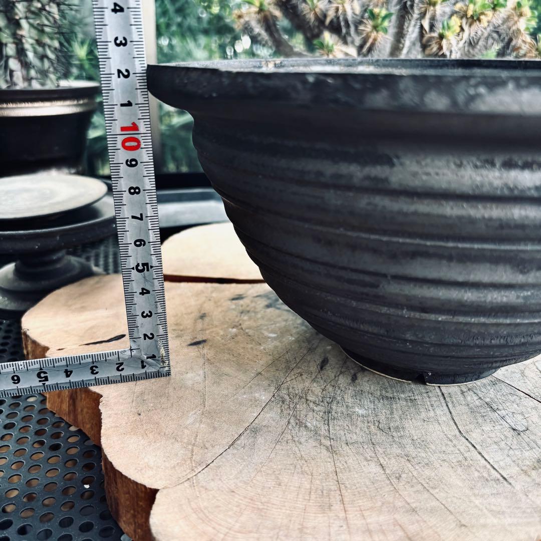 山中勇人 作家鉢 特大鉢 y鉢 アガベ パキプス グラキリス 塊根 植木鉢