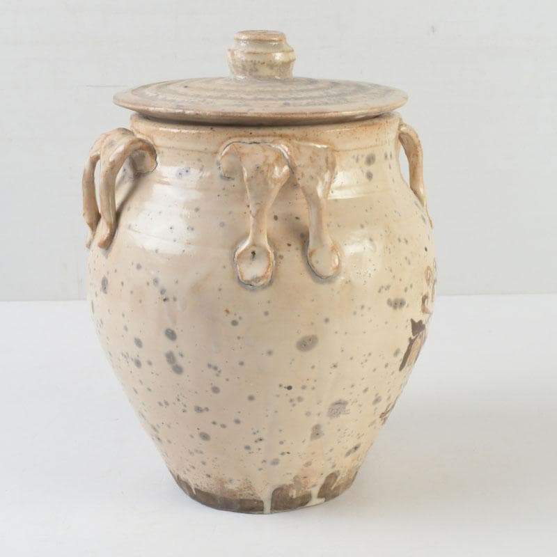 中国　磁州窯　鉄絵　花草文　高麗水指　共箱　V　9891A