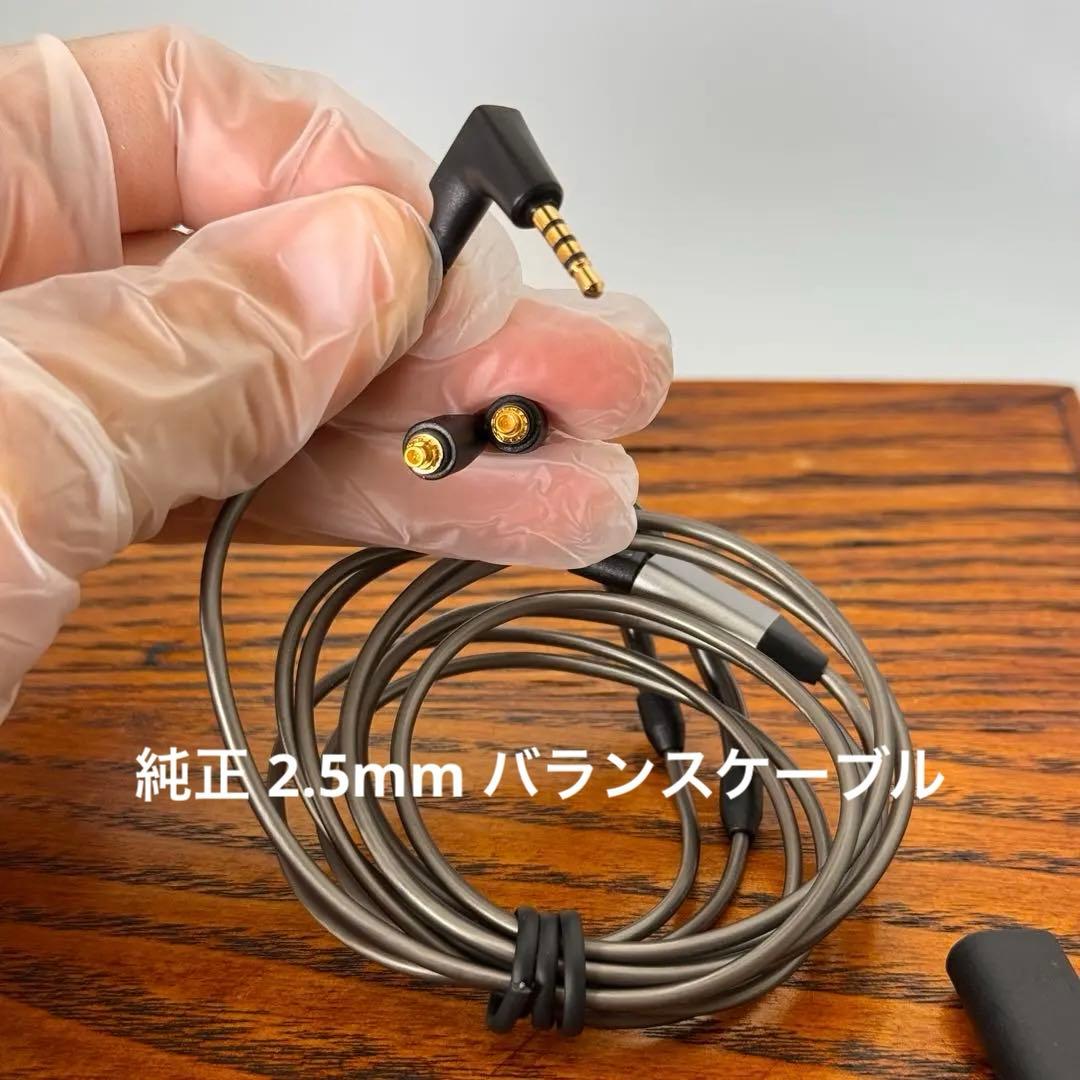 Sennheiser IE900 ゼンハイザー【付属品完備*正規品】