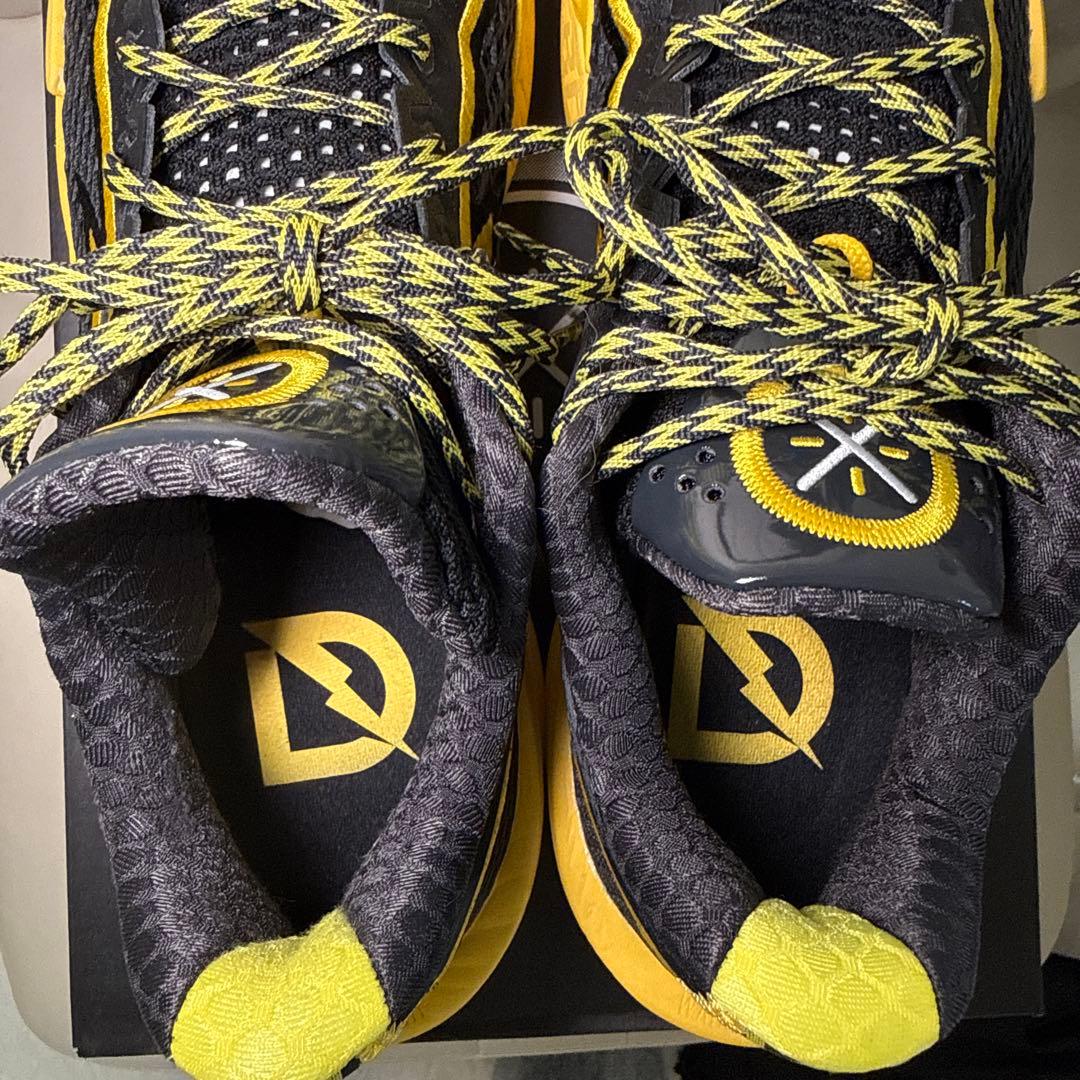 【1回2時間のみ使用】WADE FLASH 2 US11