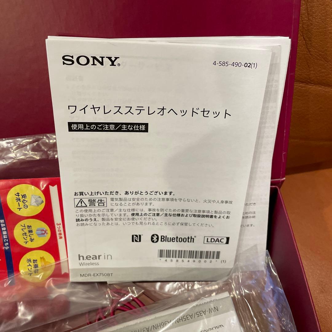 SONY NW-A35 デジタルオーディオプレーヤーケース付き動作正常