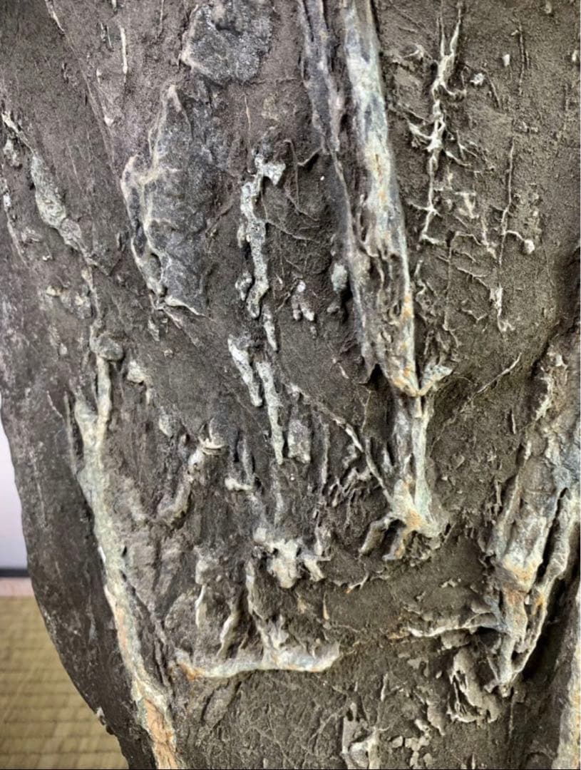 4273 粕川麒麟石 ウブ  横20×高43(cm)20.85kg