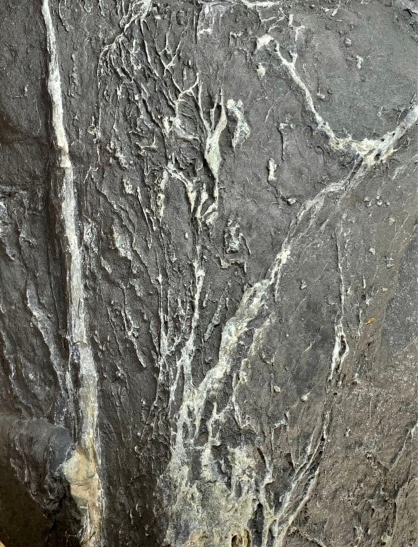 4273 粕川麒麟石 ウブ  横20×高43(cm)20.85kg