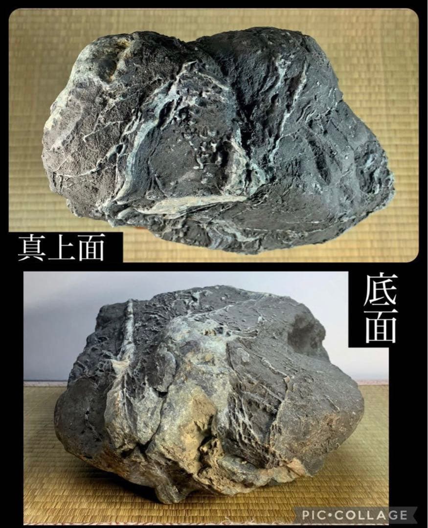 4273 粕川麒麟石 ウブ  横20×高43(cm)20.85kg