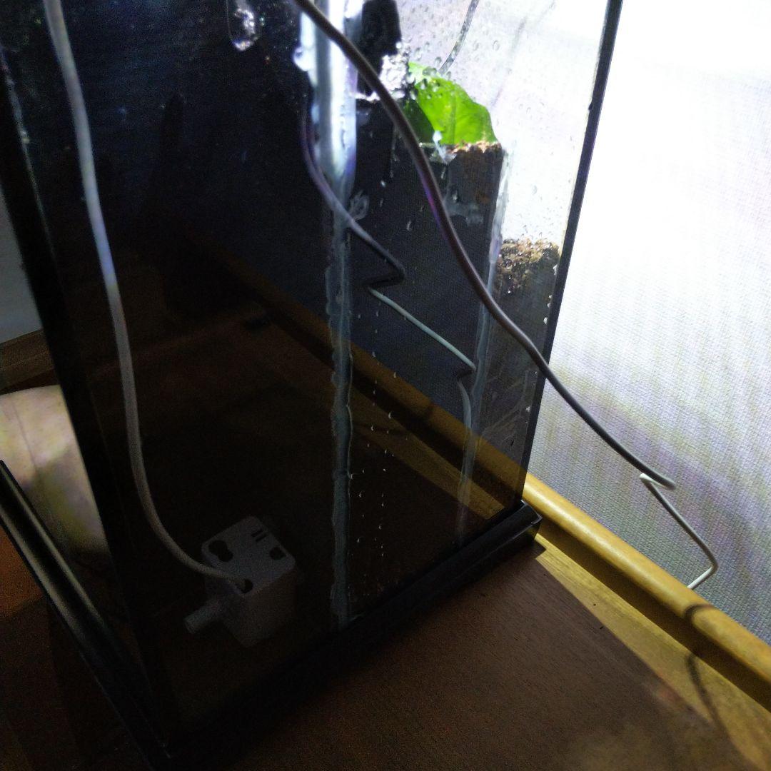 【受注生産】滝の流れるアクアテラリウム　テラリウム　苔　イモリウム