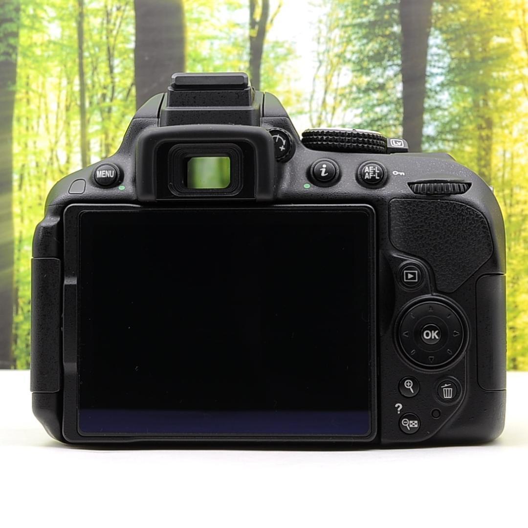 ショット数3603枚！WiFi機能付☆Nikon D5300☆初めての一眼レフに