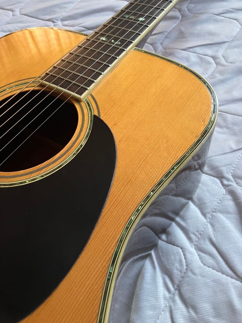 morris モーリス　W-40 アコースティックギター