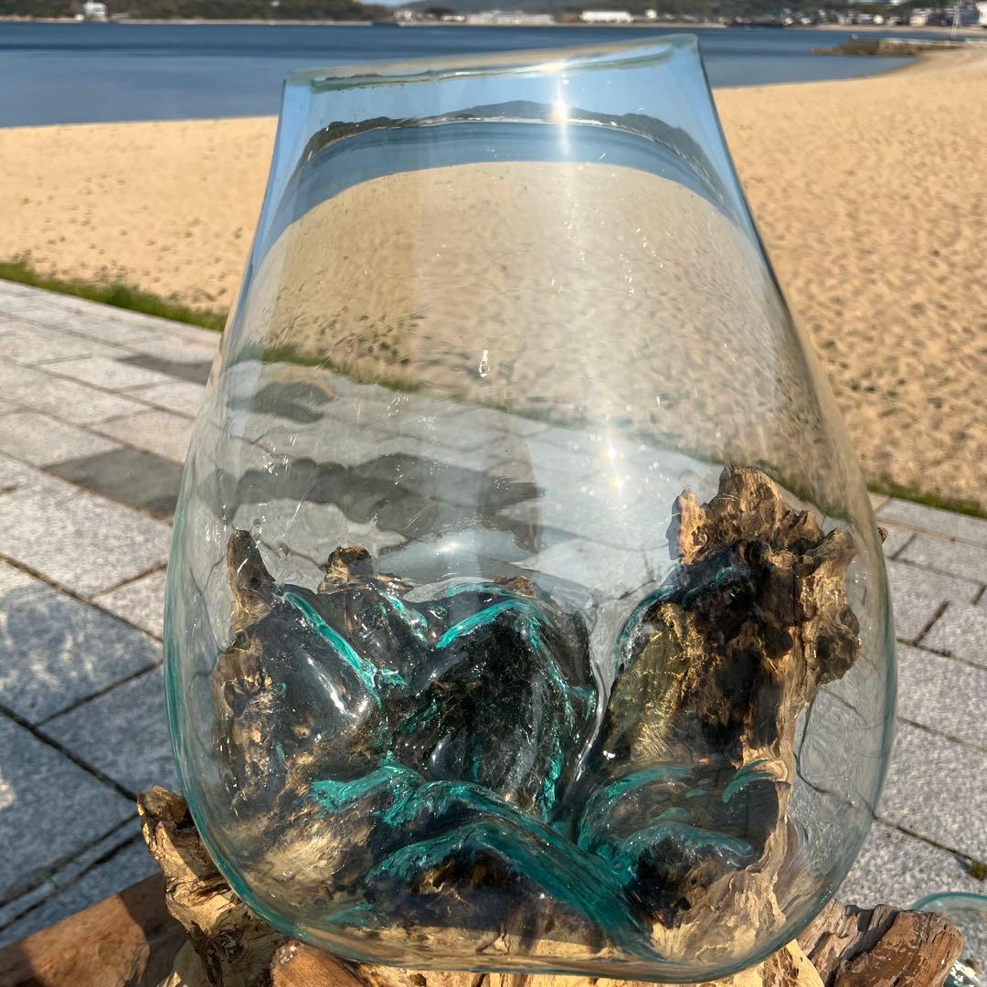 デッカい流木ガラスオブジェWC 花瓶 金魚鉢 水槽 苔リウム メダカ容器 超大型