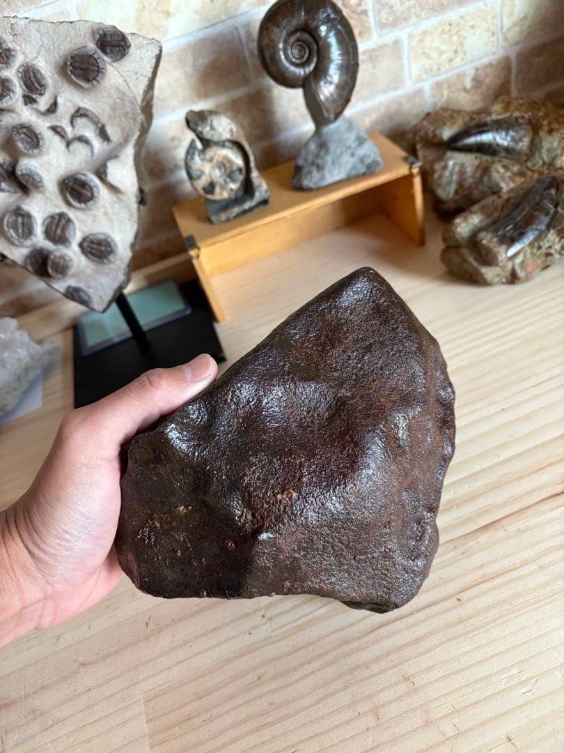 5kg 隕石　コンドライト　モロッコ