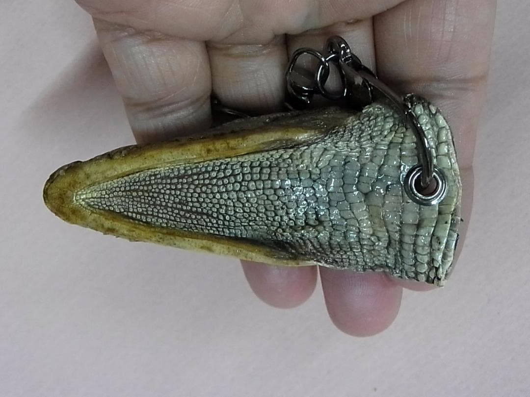 ワニの頭 キーチェーン（Mサイズ）