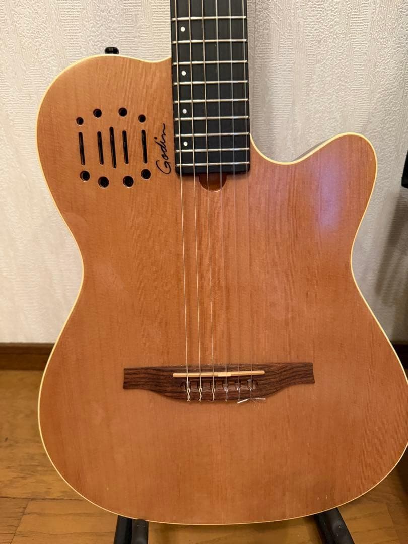 モツ様 Godin Multiac Nylon Encore Natural