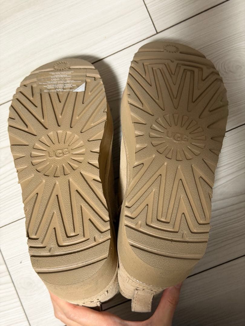 UGG チェスナット　ショートブーツ サイズ24