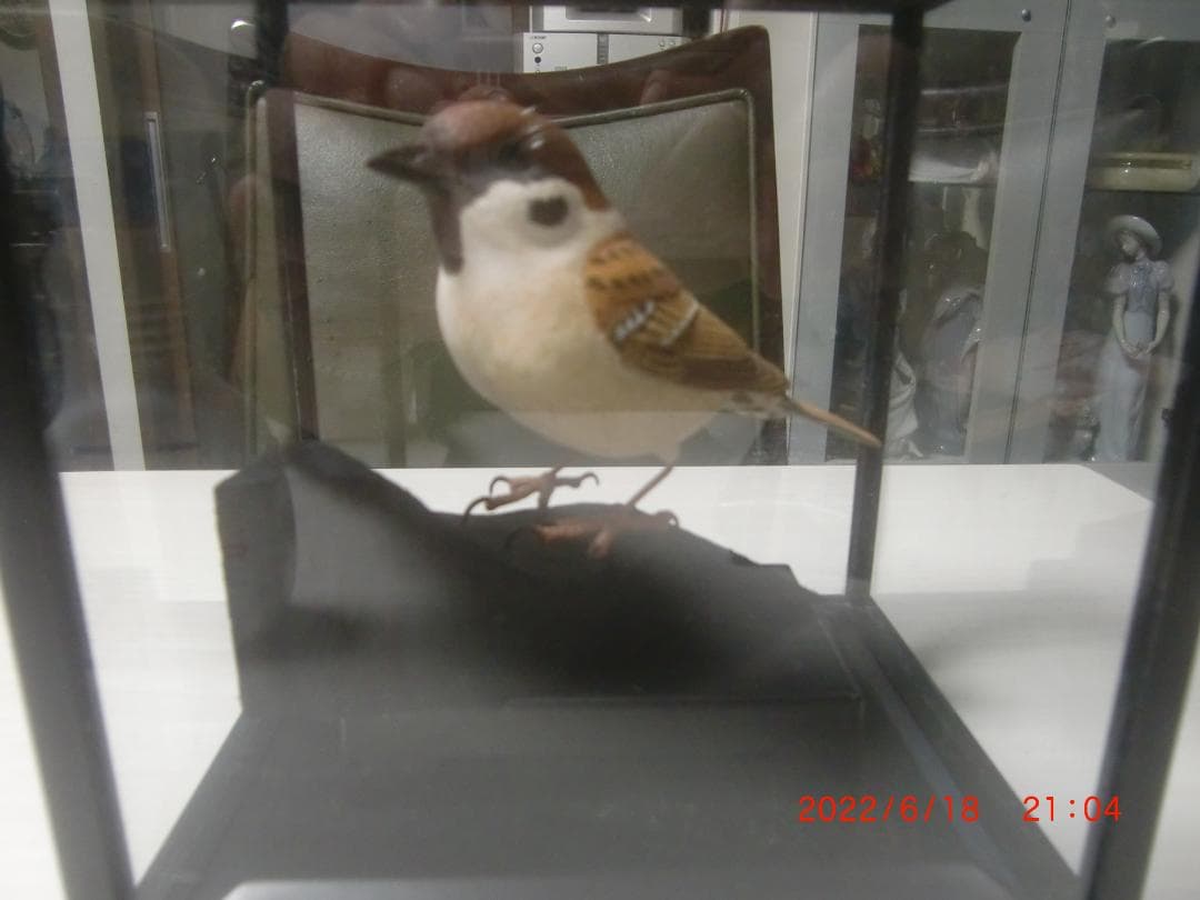 すずめ　  バードカービング　野鳥彫刻　木彫 美術品 　彫刻　インテリア　Ｎ1
