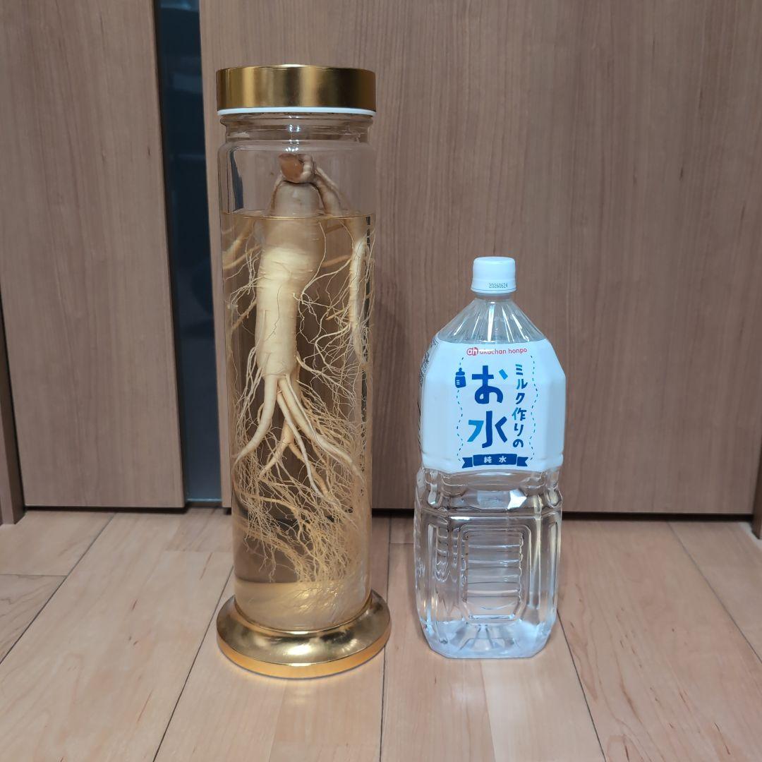 【値段相談可】高麗人参酒 希少古酒