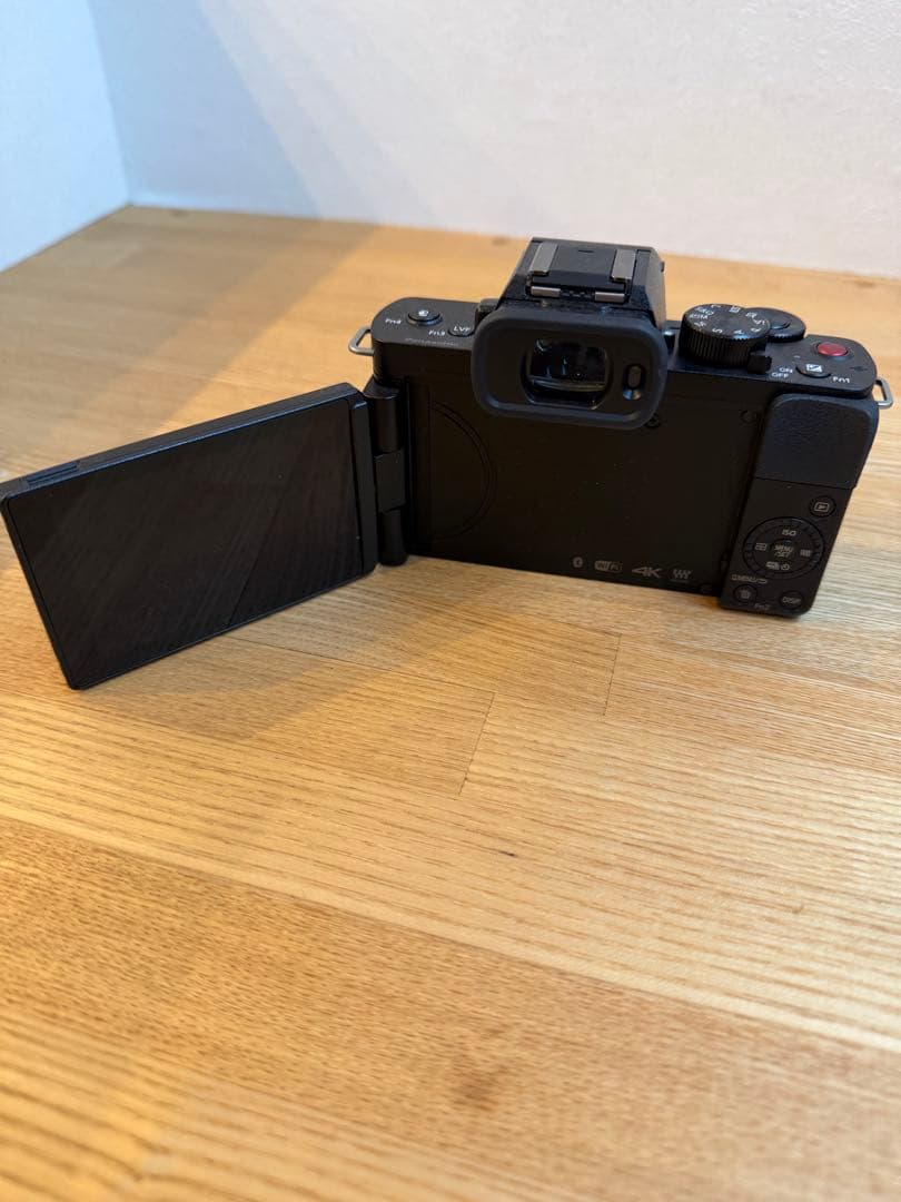 Panasonic Lumix DC-G100V ミラーレスカメラ