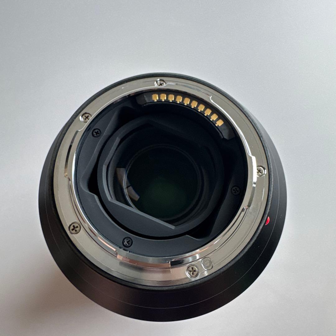 US　LEICA VARIO-ELMARIT-SL 24-90mm