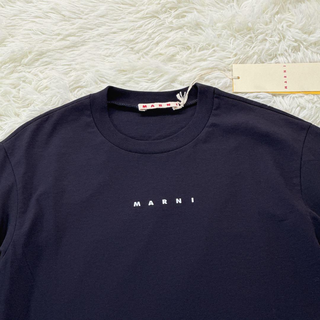 新品タグ付✨ 大人もOK！マルニ　キッズTシャツ　12Y 150 紺 25SS