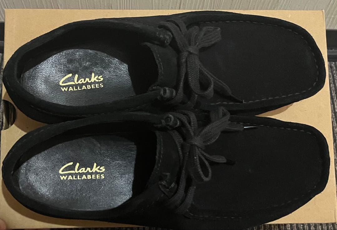 靴 Clarks Wallabee EVO WP